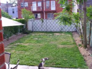 The Apartments at 31-81 Backyard redesign phase 1 cleanup